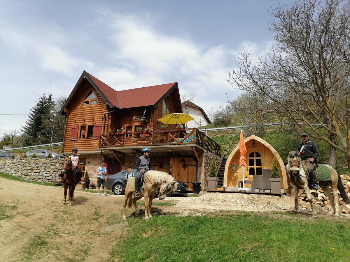 Vila Jelena - Bungalov Crni Vrh ภายนอก รูปภาพ